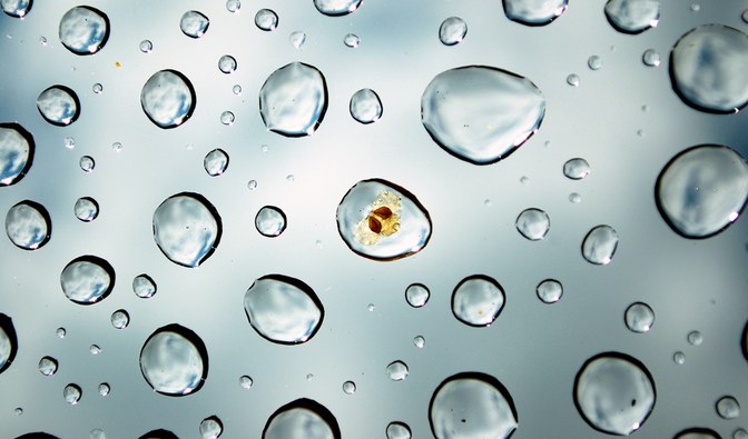 Kiedy drzewa tracą rytm