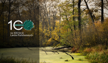 10 000 ha nowych rezerwatów na 100-lecie Lasów Państwowych