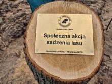 Społeczne Sadzenie Lasu