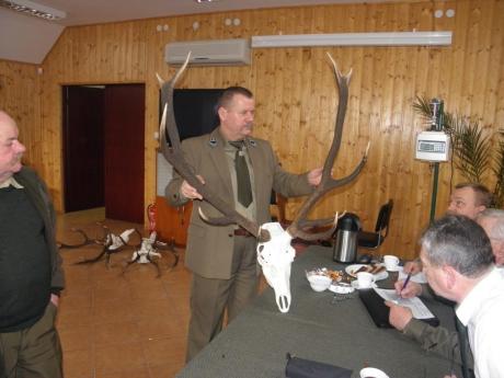 Ocena poroży jeleni byków