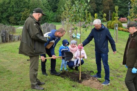 Rodzicie z dziećmi sadzili drzewa w Parku Borowiackim w Czersku – w ramach kolejnej edycji akcji „Jedno dziecko, jedno drzewo”